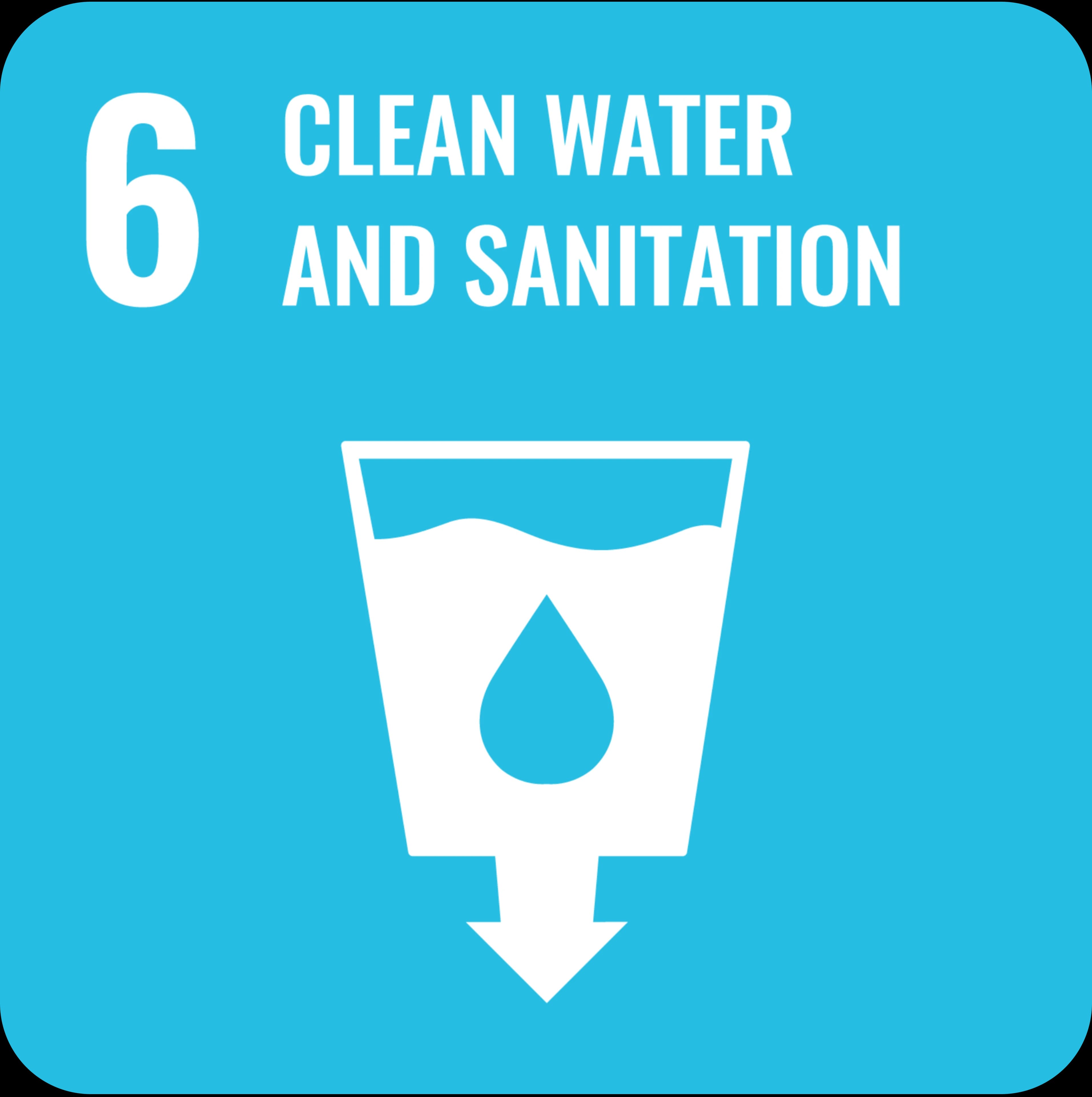 SDG 1