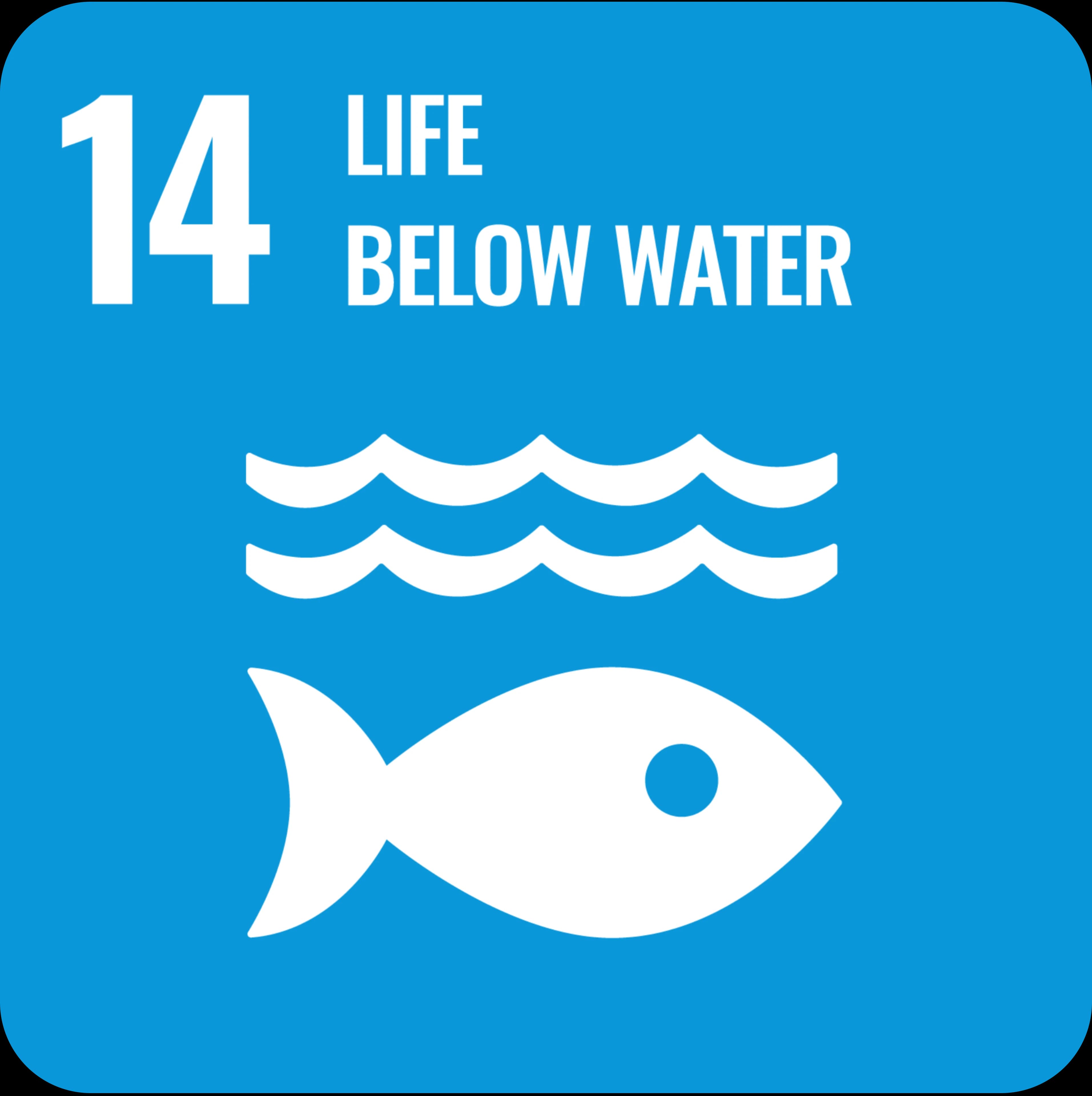 SDG 7