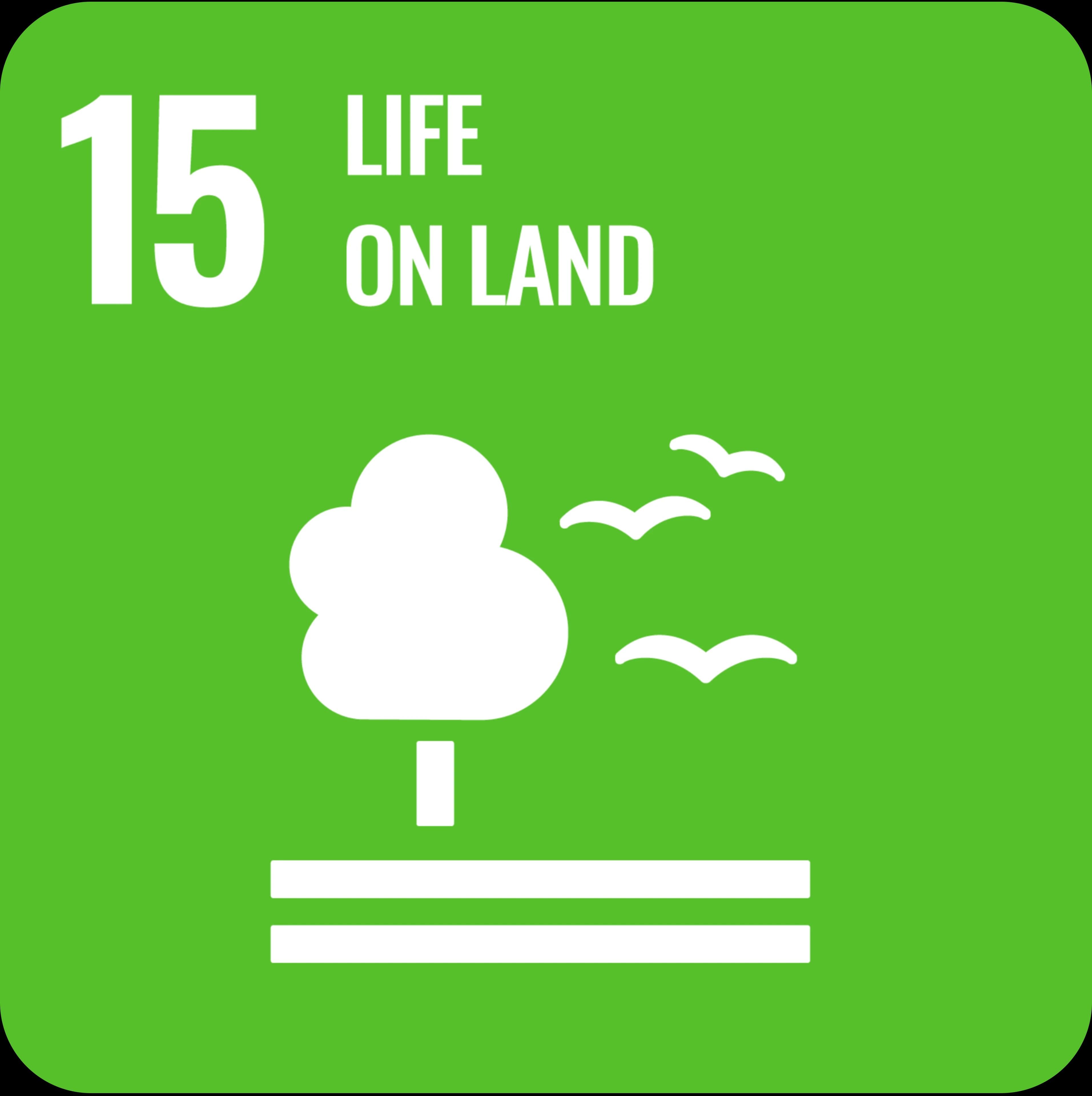 SDG 8